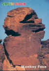 monkeyface.jpg (35168 bytes)